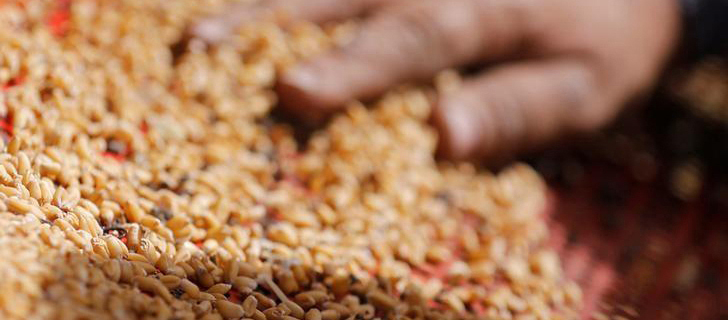 Honeywell 霍尼韦尔 通用手持设备 条码扫描器